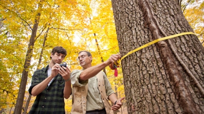 A student and a professor measuring the circumference of a tree.