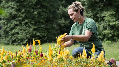 A Student tending to flowers.