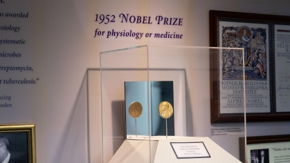 1952 Nobel Prize for Physiology or Medicine on display at the Waksman Museum.